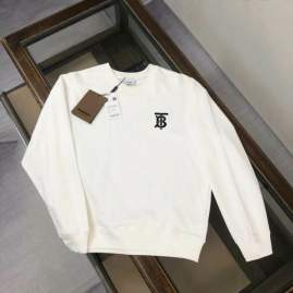 Picture of Burberry Sweatshirt _SKUBurberryS-2XLtltx26231028